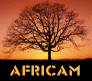 africam.gif (6845 octets)